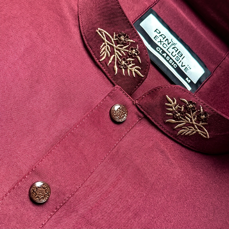 Pakistani D Hand Design Panjabi