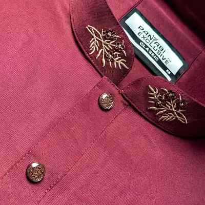 Pakistani D Hand Design Panjabi